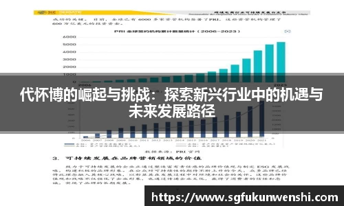 代怀博的崛起与挑战：探索新兴行业中的机遇与未来发展路径